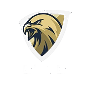 elitesecuritygroup.al